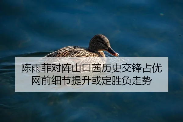 陈雨菲对阵山口茜历史交锋占优 网前细节提升或定胜负走势